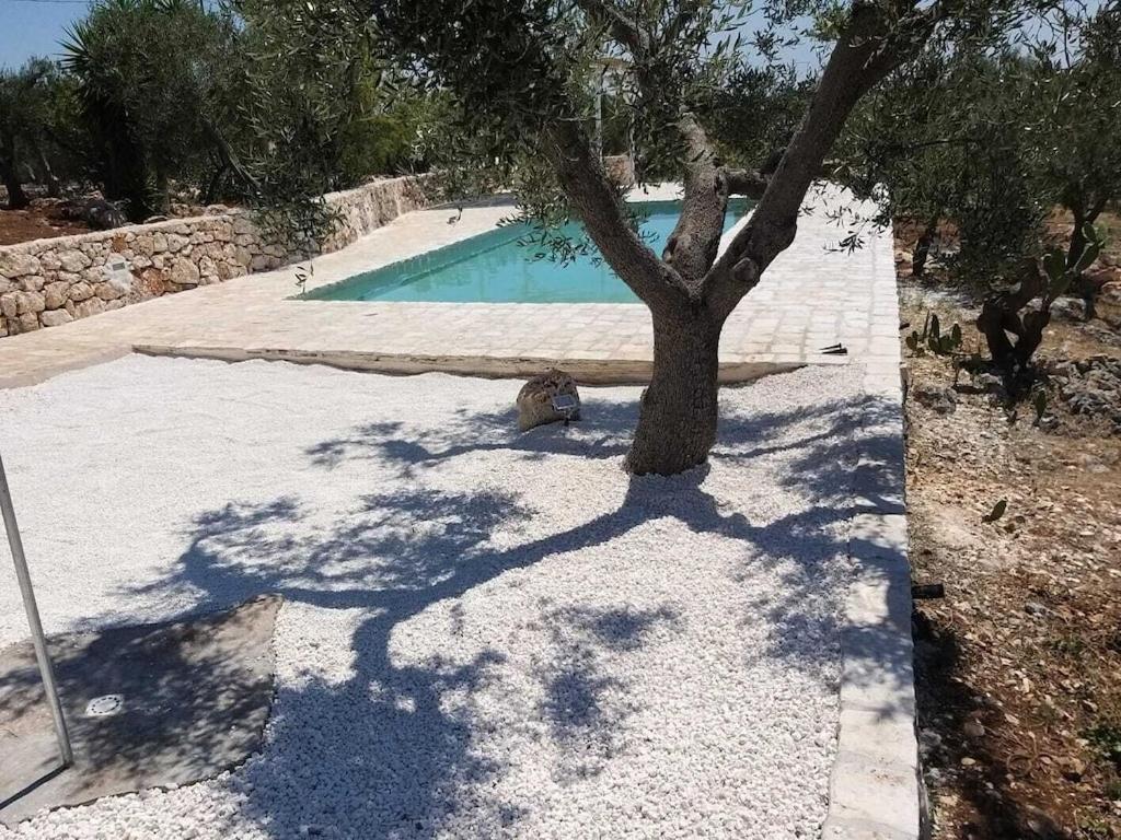 Casa Giuliveto - Charmantes Ferienhaus Mit Privatpool In Olivenhain 오스투니 외부 사진