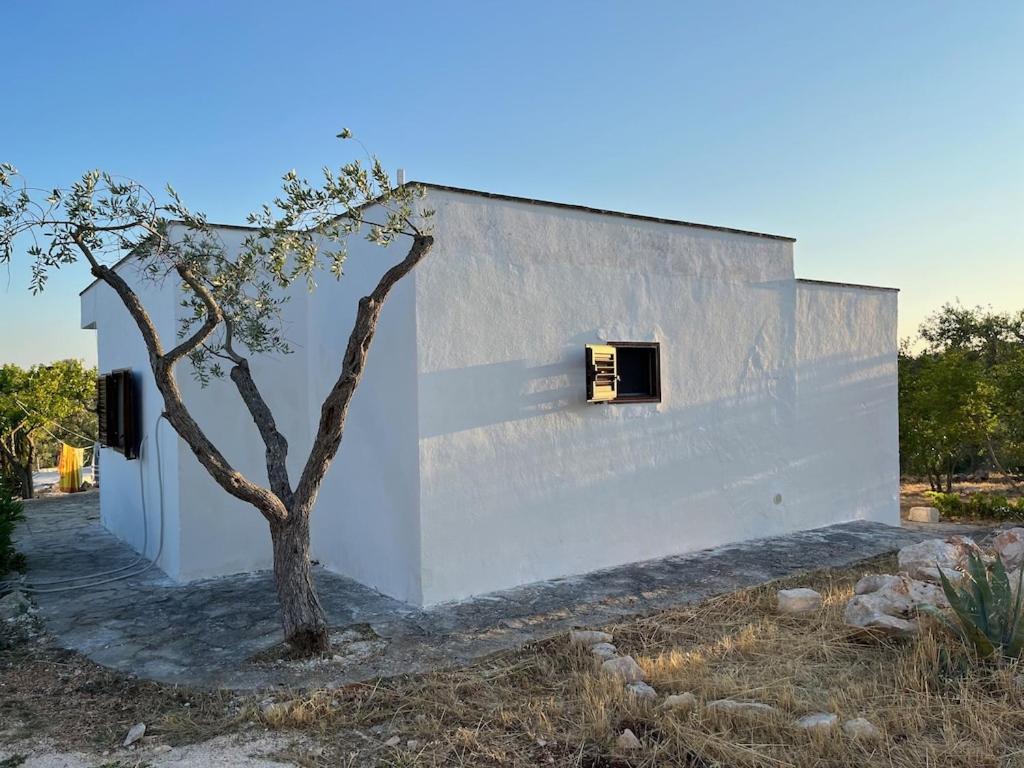 Casa Giuliveto - Charmantes Ferienhaus Mit Privatpool In Olivenhain 오스투니 외부 사진