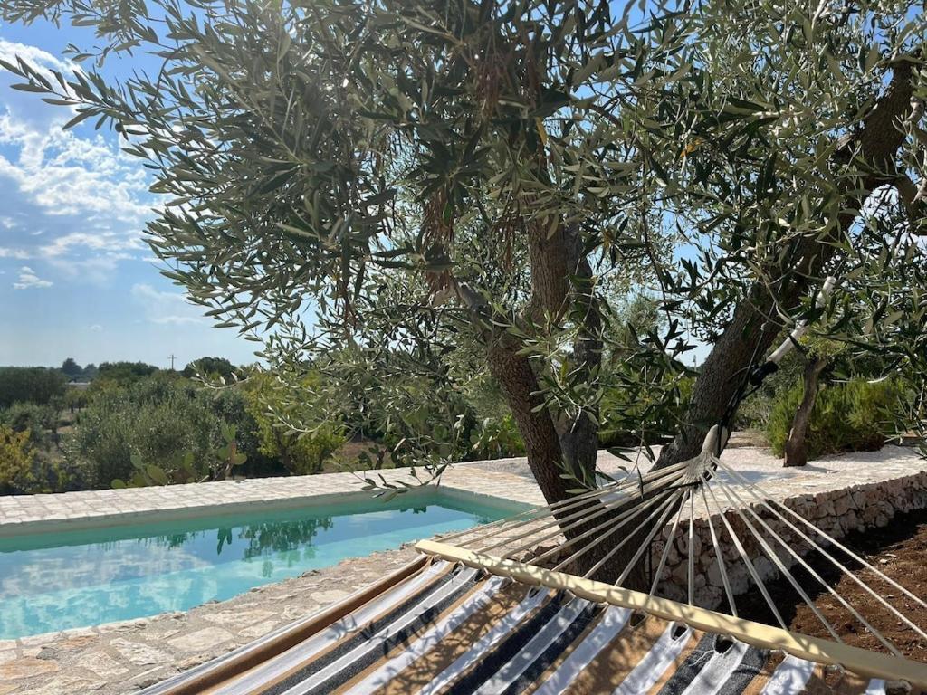 Casa Giuliveto - Charmantes Ferienhaus Mit Privatpool In Olivenhain 오스투니 외부 사진