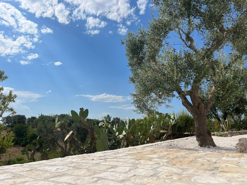 Casa Giuliveto - Charmantes Ferienhaus Mit Privatpool In Olivenhain 오스투니 외부 사진
